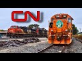 Trains Along The CN Waukesha Subdivision