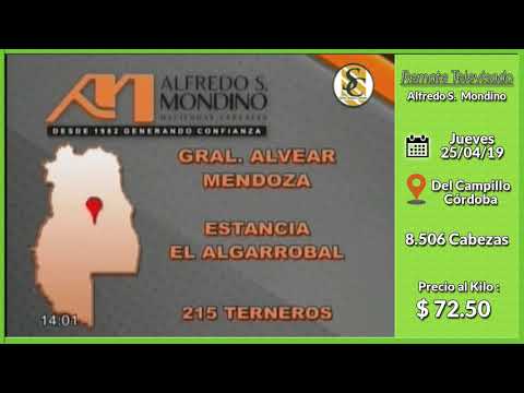 25-04-19 - Venta de Machos - Remate Televisado de Alfredo S. Mondino - Del Campillo (CBA)