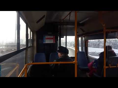 Ikarus 405.06 - BPO-202 @251