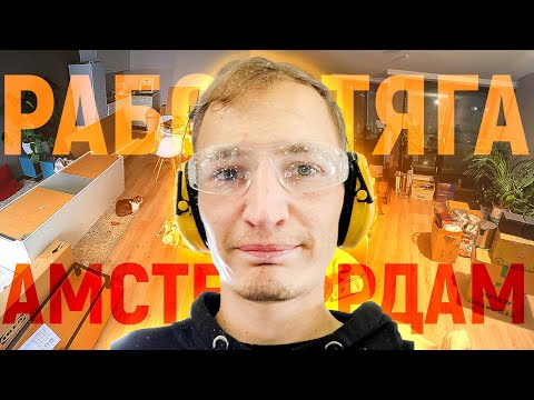 Нашел новое жильё в Амстердаме, работа, планы и новости про котов!