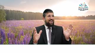 גילויים חדשים על סגולת חודש אייר | הרב אליהו עמר, כנסו:https://www.olamhadat.co.il/