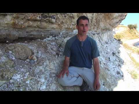 Stevns Vid5 Cretaceous Rocks