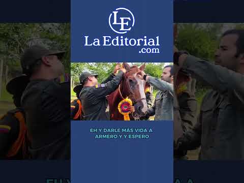 Héroes que no hablan, pero salvan: Ibagué despide con honores a Armero y Jeffry