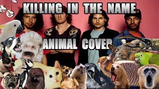 Rage Against The Machine - Killing In The Name (Animal Cover)