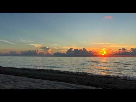 FROM THE HEART       Dani Elison     Daniel Alva