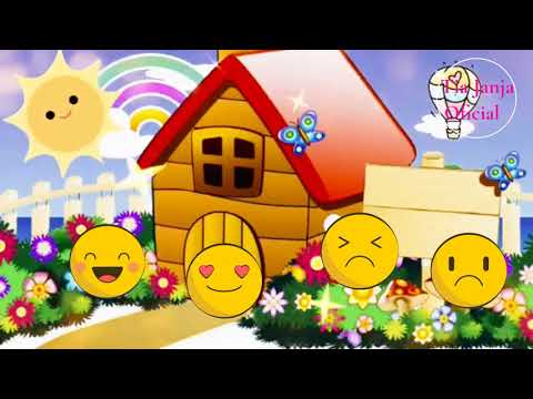 O encontro dos sentimentos e das emoções - história infantil