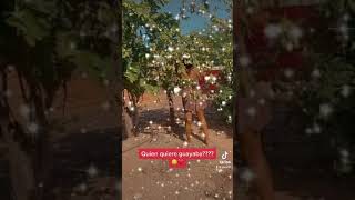 Pueblo por pueblo:aventura