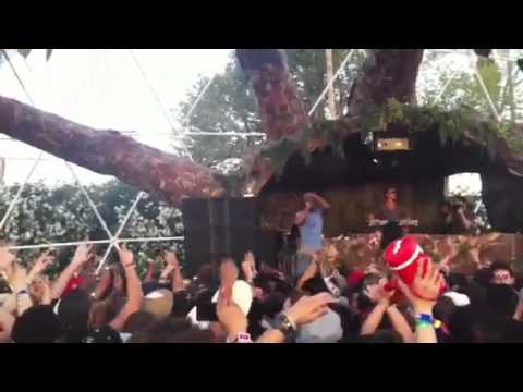 LIL B - HOES ON MY DICK...COACHELLA 2011