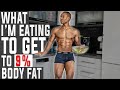What I'm Eating TO GET UNDER 9% BODY FAT | LOW CARB FULL DAY OF EATING