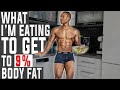 What I'm Eating TO GET UNDER 9% BODY FAT | LOW CARB FULL DAY OF EATING