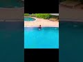ANARKALI MARIKKAR NEW VIDEO