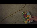 Barney S 1234 Seasons Vhs Review