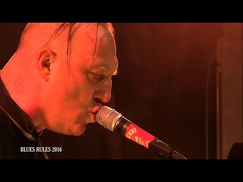 REVEREND BEAT-MAN Blues Rules 2016