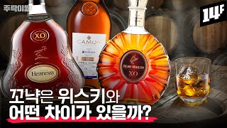 꼬냑은 처음이라고요?? 마셔 봤는데 잘 모르겠다고요?? 꼬냑에 대한 궁금증 총정리합니다.  | 주락이월드 / 14F