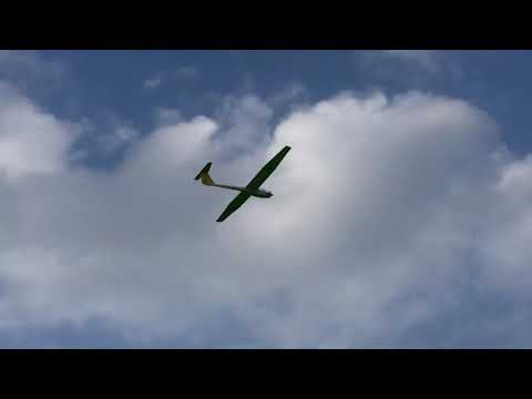 Motoplaneur Griffin de Dancing Wings