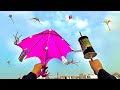 Unique Kite Fighting Kite Cutting Kite Flying Kite Manjha