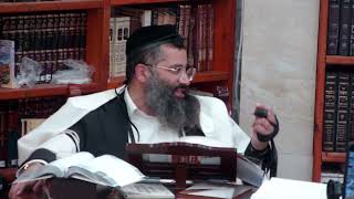 למה מתו נדב ואביהוא סיבה שלא שמעתם מעולם   ההלכה ליום ראשון כ''ה ניסן פ''ו