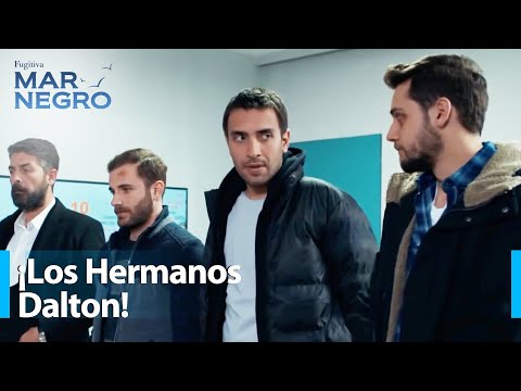 Familia Kaleli, atrapada con las manos en la masa... - Mar Negro Capítulo 156 | Fugitiva