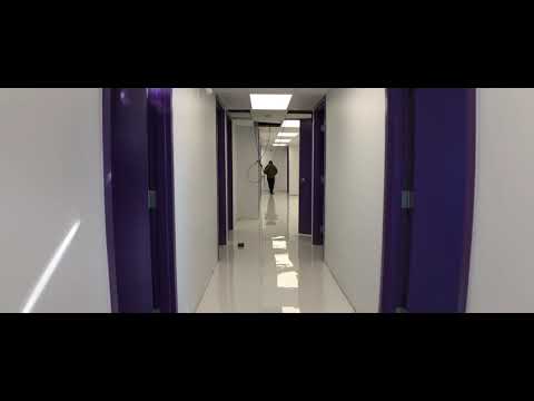 Purplefarm Genetics Cultivation Facility - Update - March 8th, 2020