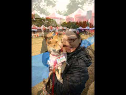 2011/01/16學園祭(原發表者:毛線球)(影片)