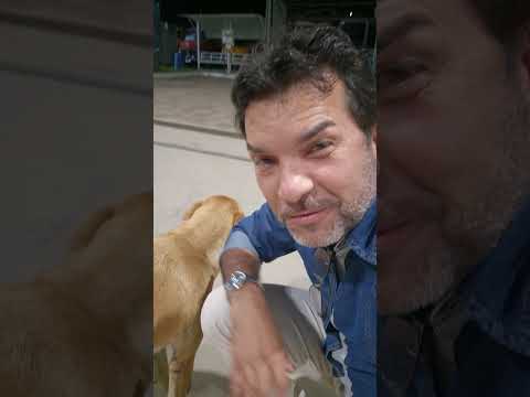 Amigo Caramelo em Belo Jadim-PE
