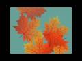 The Last Leaf Of Autumn 