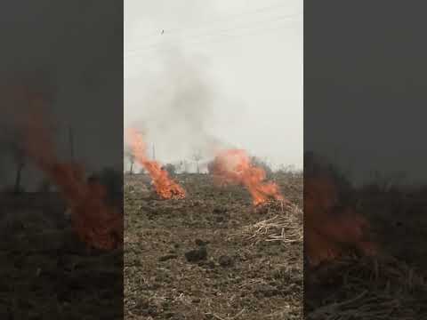 The leading cause of India’s air pollution? Non-stop burning. #india #pollution #environment