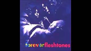 The Fleshtones - Outcast