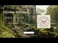 Pilgrim Phoenix Trailer