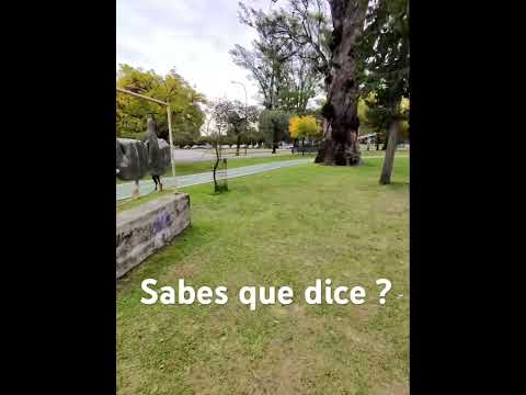 Córdoba +50 en bici | Parque Sarmiento … ¿sabés qué dice? | Mayo 2026