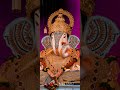 Tyane God Hasuni Motha Aashirwad