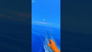 Download lagu kata-kata pelaut pas berlayar ⛴️ mp3