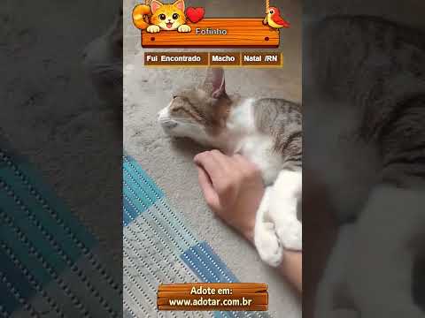 Vídeo de Fofinho