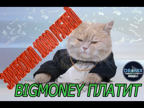 Bigmoney  заработал 10000 рублей в топовой игре
