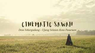 Download lagu CINEMATIC VIDEO SAWAH DESA SEKARGADUNG PASURUAN NO... mp3