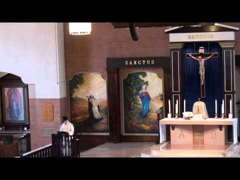 Homilia del dia 5-6-11