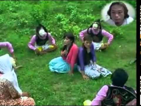 download lagu mp3 mp4 Tarling Dangdut Pandan Weringin, download lagu Tarling Dangdut Pandan Weringin gratis, unduh video klip Tarling Dangdut Pandan Weringin