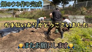 夢プロ畑編！ウネ完成！立派な仕上がり💪