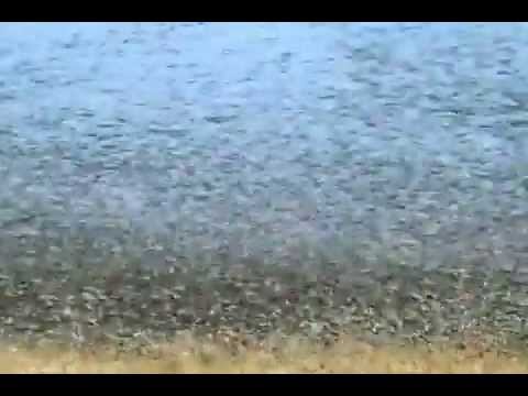 God Little Majesty in Creation