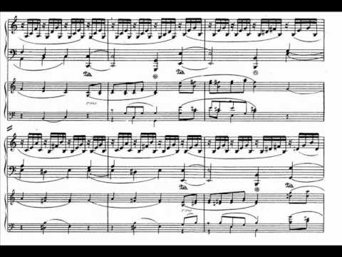 Schumann piano concerto in A minor op. 54 Allegro affettuoso [1\3]