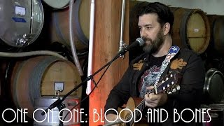 ONE ON ONE: Bob Schneider - Blood And Bones April 1st, 2017 City Winery New York
