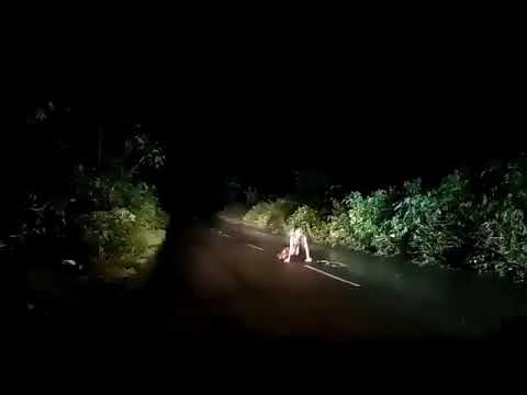 Bukpui & Vairengte kawng in Kar ah thil thleng rapthlak,mihring nge Ramhuai🤔😲😲