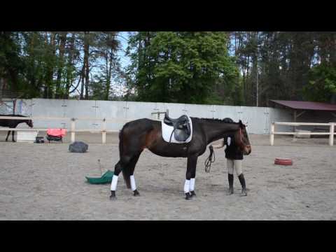 Виступ Руфь Мерфі та Маші. Робота в руках.