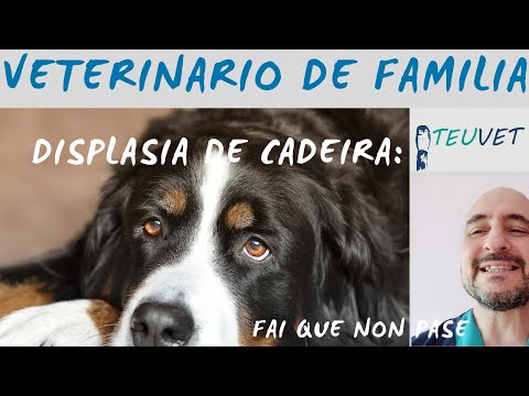 Vídeo: Displasia de cadeira