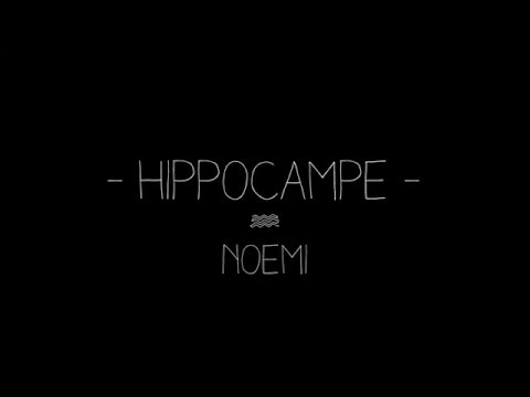 HIPPOCAMPE - NOEMI