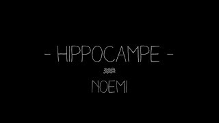HIPPOCAMPE - NOEMI