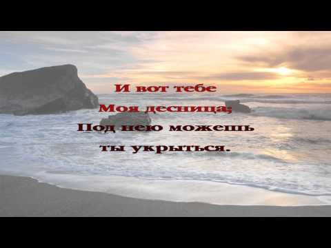 228 Ты Мой! Не бойся ничего