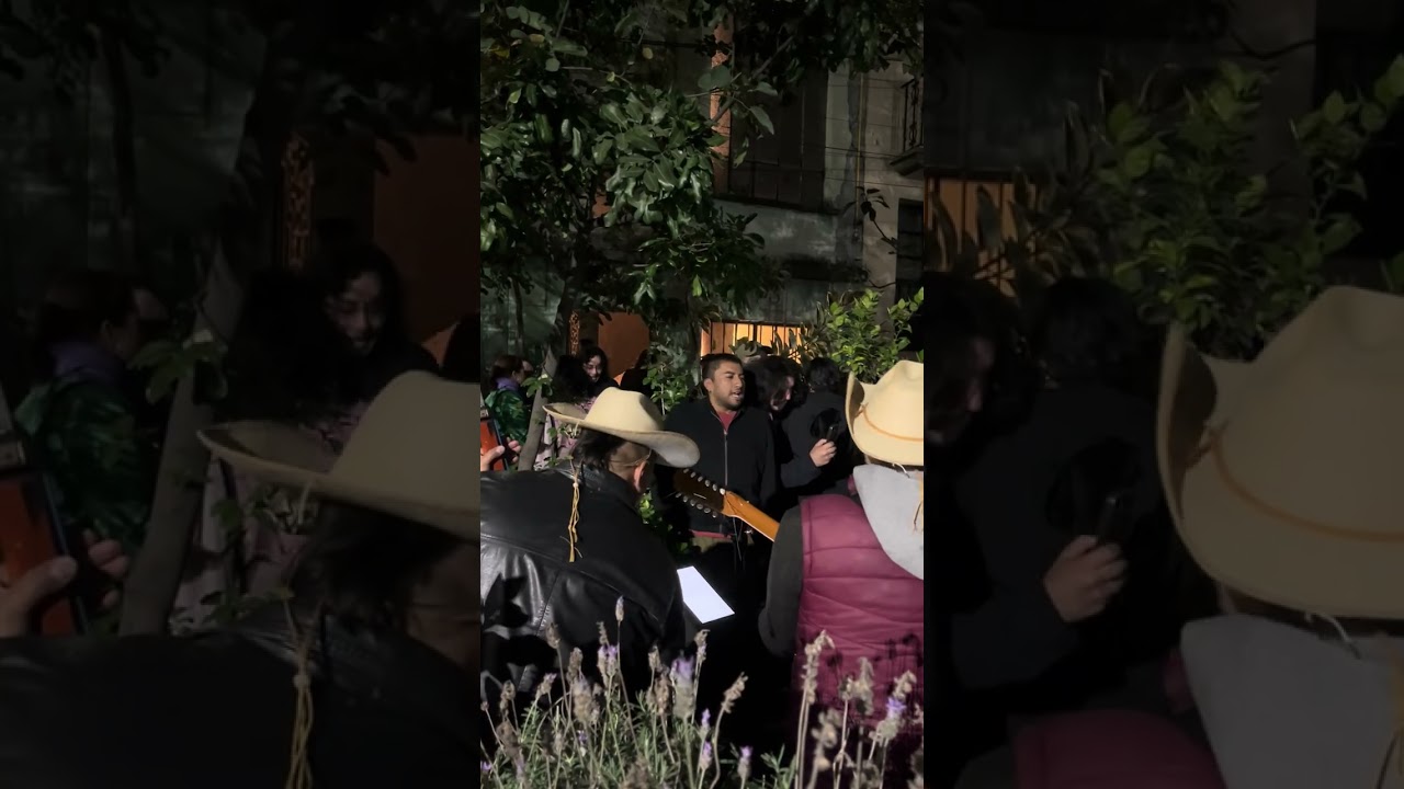 Video: Launch of the book "Sé que alguien leerá esto con una voz que no es mía", 2025 ©️ El Castillo de Chapultepec