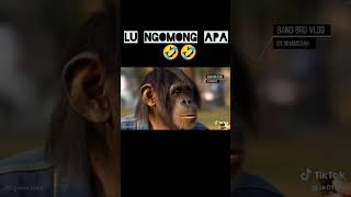 Download lagu sabar ini ujian 🤣🤣 mp3