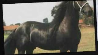 Lo vas a Pagar El Coyote y su Banda Tierra Santa